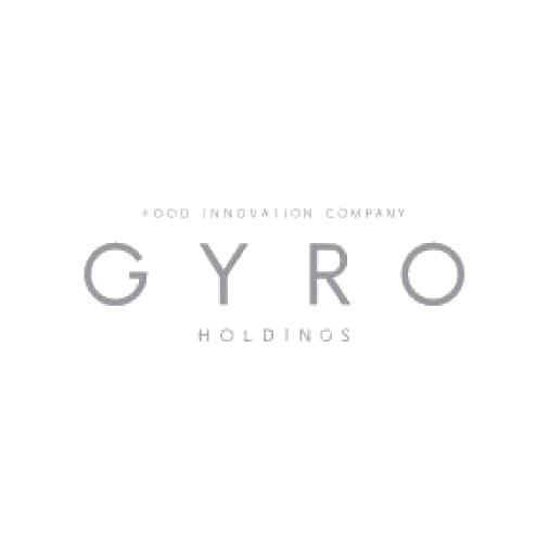 GYRO HOLDINGS